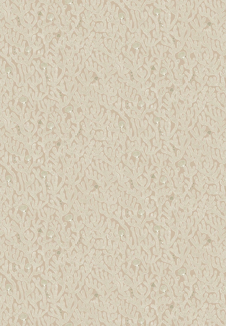 Josephine Munsey Coral In Edge Sand 4 Josephine Munsey Coral In Edge Sand