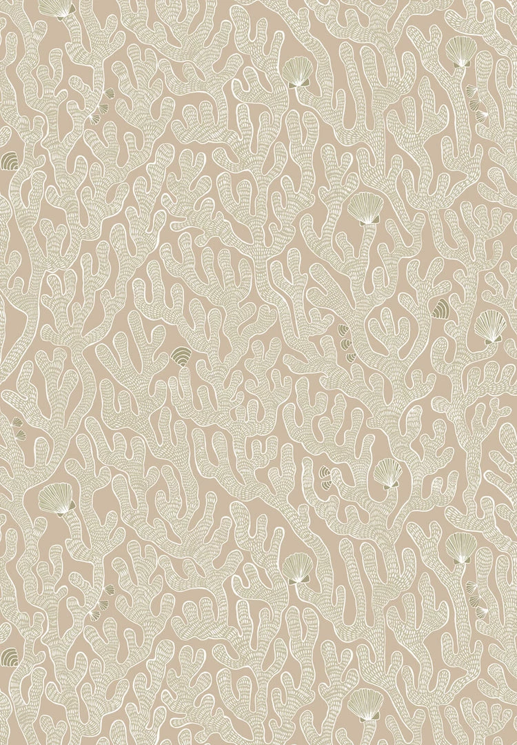 Josephine Munsey Coral In Edge Sand 5 Josephine Munsey Coral In Edge Sand