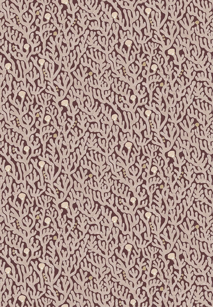 Josephine Munsey Coral In Edge Sand 13 Josephine Munsey Coral In Edge Sand