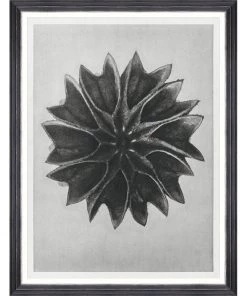Mind The Gap Framed Art LIME MALLOW BY KARL BLOSSFELDT