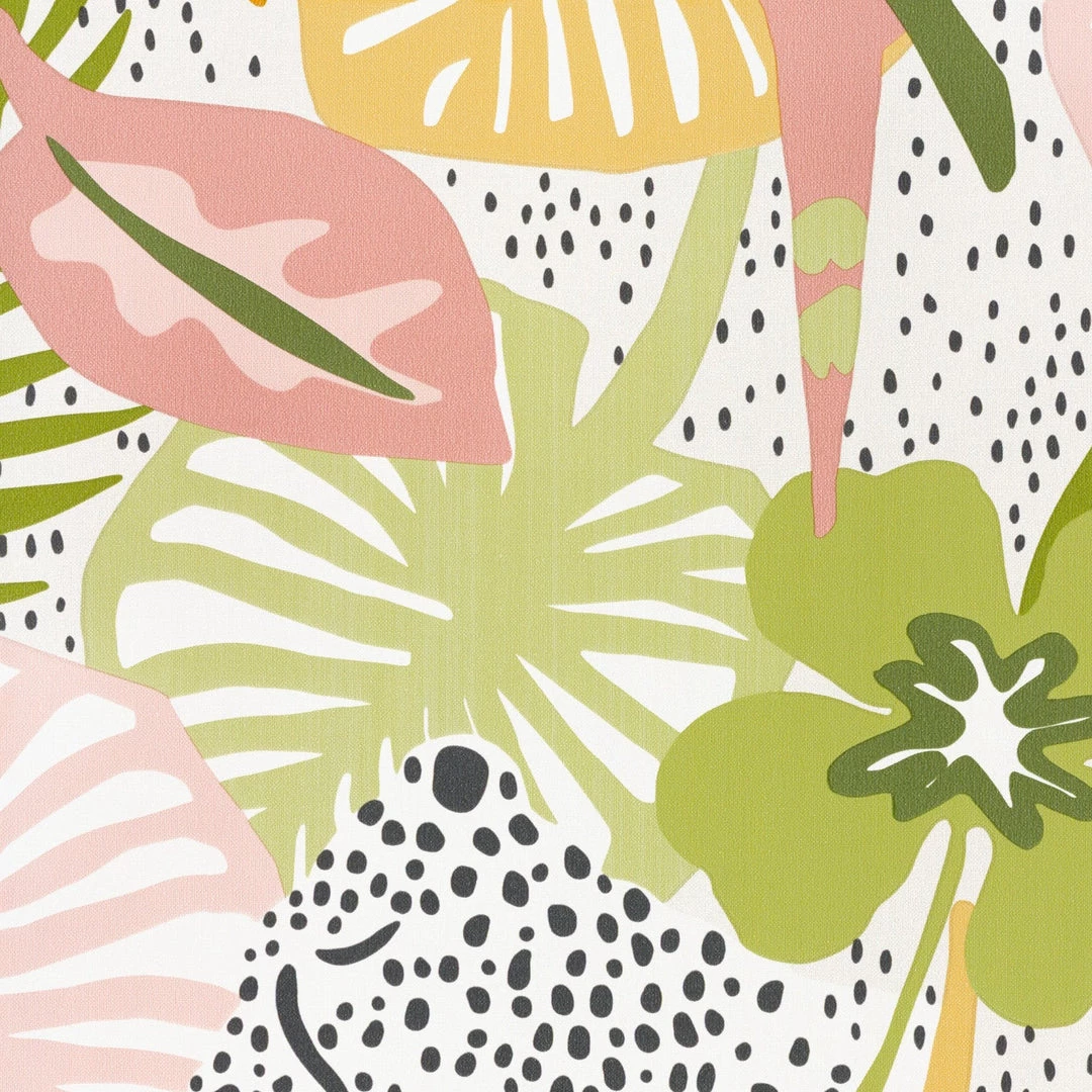 BN Hide And Seek 4 BN Hide And Seek