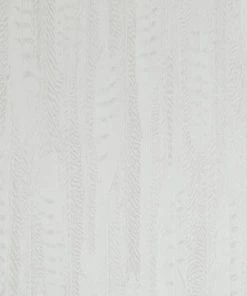 BN Wallpaper & Paint Curious Collection Wallpaper - Feathered Veil Light Tones