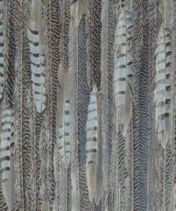 BN Wallpaper & Paint Curious Collection Wallpaper - Feathered Veil Dark Tones