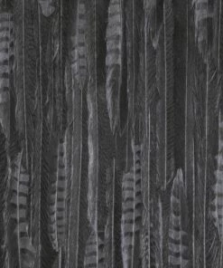 BN Wallpaper & Paint Curious Collection Wallpaper - Feathered Veil Dark Tones