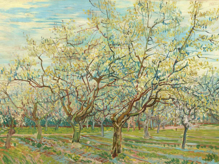 BN Van Gogh Mural - The White Orchard Les Jardins Royaux 4 BN Van Gogh Mural - The White Orchard Les Jardins Royaux