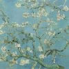 BN Van Gogh Mural Almond Blossom - Sky