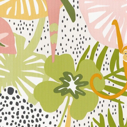 BN Hide And Seek 6 BN Hide And Seek