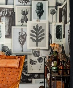 Mind The Gap The Craftsman Blossfeldt's Art Form Wallpaper