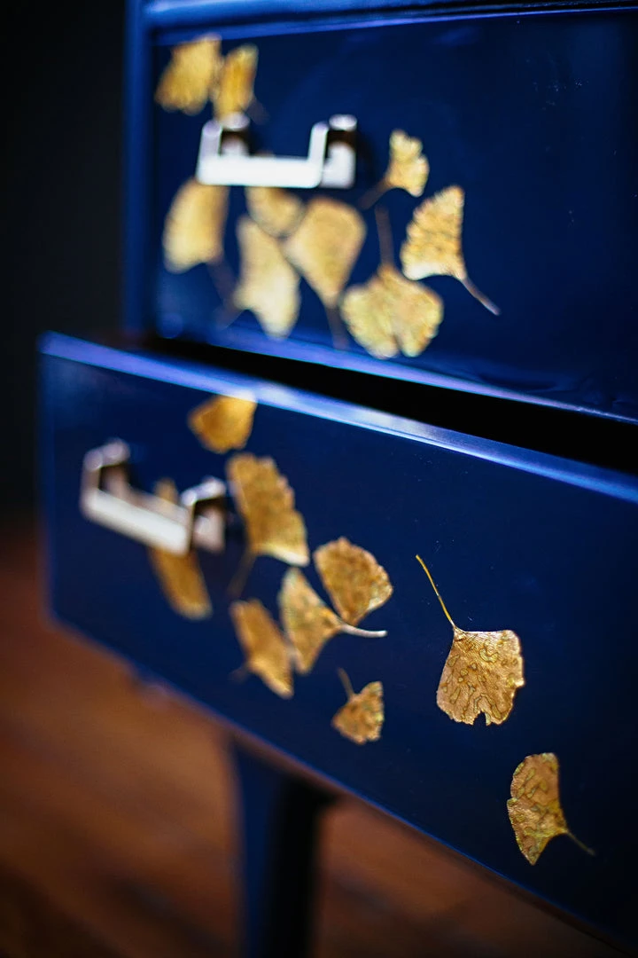 Lady Griddilebone Ginkgo Restored Cabinet 15 Lady Griddilebone Ginkgo Restored Cabinet