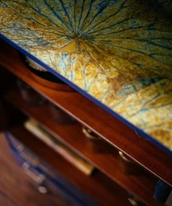 Lady Griddilebone Ginkgo Restored Cabinet 33 Lady Griddilebone Ginkgo Restored Cabinet