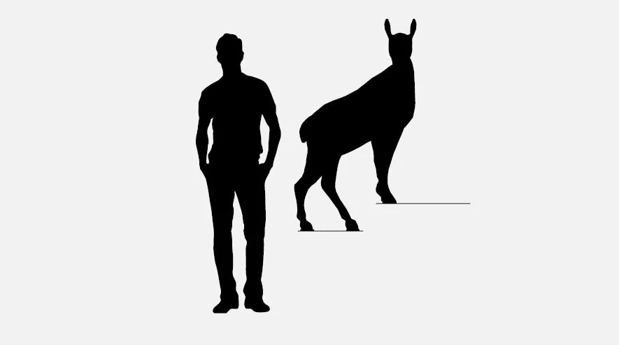 Ibride Horace Wall Shelves Homeware 4 Ibride Horace Wall Shelves Homeware