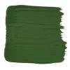 New Josephine Munsey Brookes Green Paint