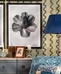 Mind The Gap Framed Art CUP AND SAUCER VINE BY KARL BLOSSFELDT New