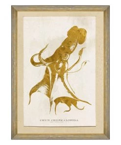 Mind The Gap Sea Life Cephalalpoda Wall Art