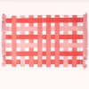 Rice By Rice Gingham Cotton Placemat In Red & Pink New