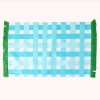 Rice By Rice Gingham Cotton Placemat In Blue & Green New