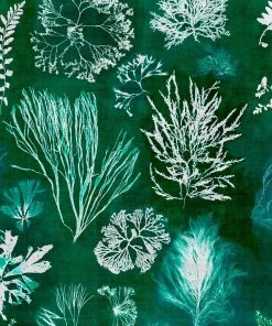 Mind The Gap Algae Navy Blue Wallpaper Blue Skies Ahead