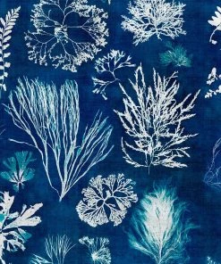 Mind The Gap Algae Navy Blue Wallpaper Blue Skies Ahead