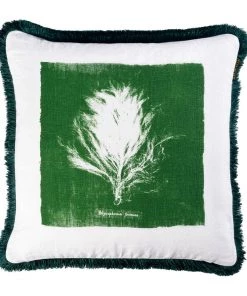 Mind The Gap Algae II / Palmera Cubana Cushion