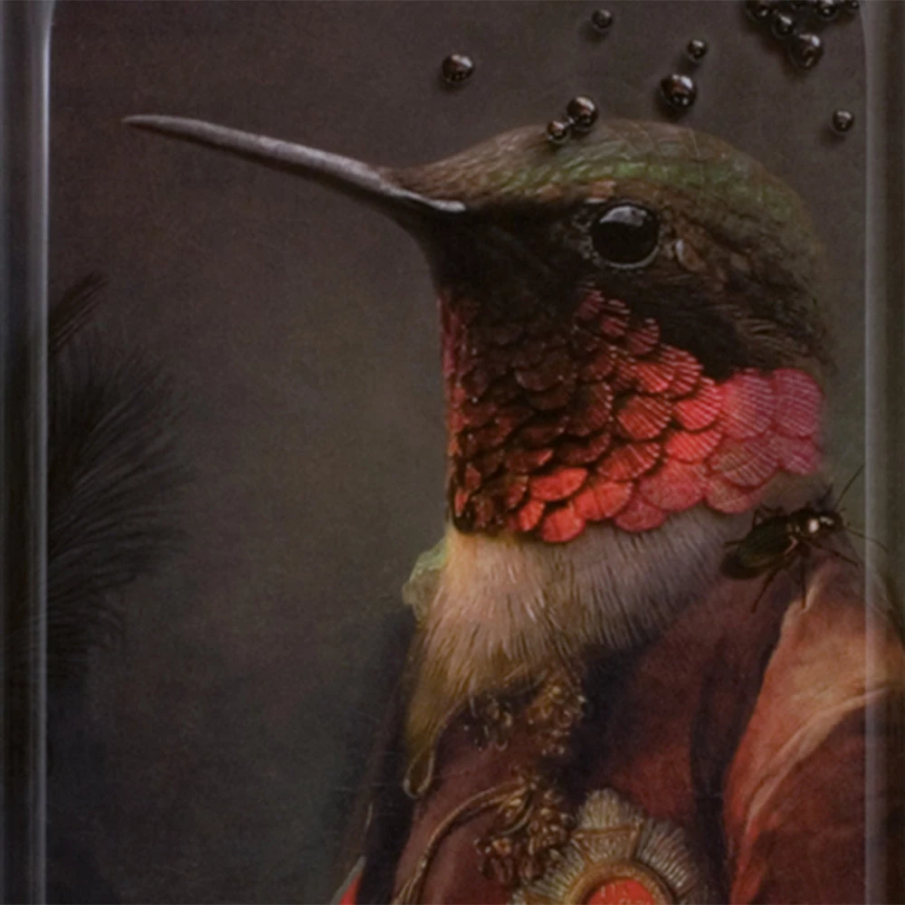 Les Jardins Royaux Ibride Ambroise Wall Tray 5 Les Jardins Royaux Ibride Ambroise Wall Tray