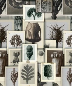 Mind The Gap The Craftsman Blossfeldt's Art Form Wallpaper