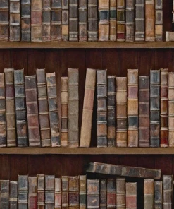 Mind The Gap Book Shelves Wallpaper The Craftsman