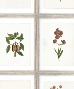 Mind The Gap Botany Wallpaper Les Jardins Royaux 7 Mind The Gap Botany Wallpaper Les Jardins Royaux