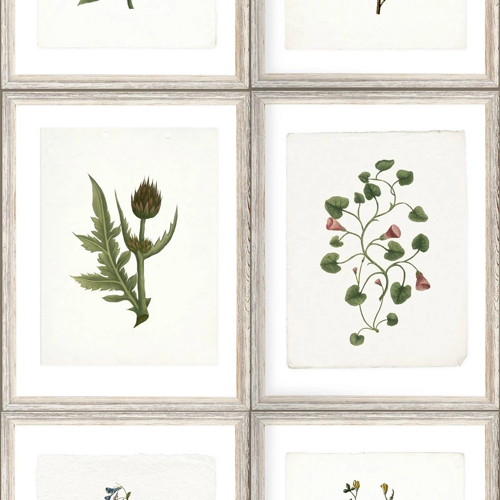 Mind The Gap Botany Wallpaper Les Jardins Royaux 3 Mind The Gap Botany Wallpaper Les Jardins Royaux