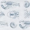 Thedesignyarduk Lobster Blue Wallpaper