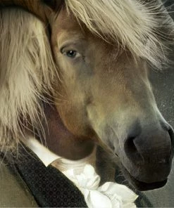 Homeware Ibride Chatterton Collector Portraits