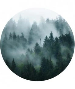 BN The Craftsman Wallpaper Circles Cloudy Woods