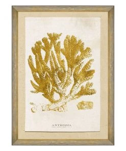 Mind The Gap Havana Tropicana Sea Life Anthozoa Coral Wall Art