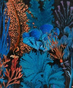 Mind The Gap Coral Reef Wallpaper Blue Skies Ahead