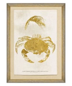 Mind The Gap Sea Life Athropoda Crustacea Wall Art Havana Tropicana