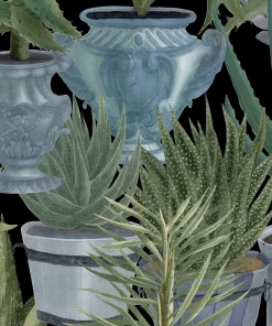 Mind The Gap Havana Tropicana Echeveria Wallpaper