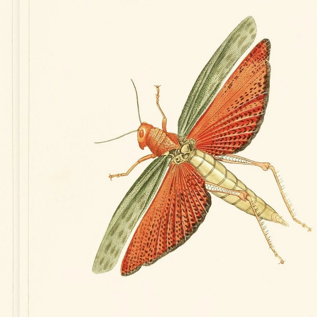 Mind The Gap Entomology Blue Wallpaper 5 Mind The Gap Entomology Blue Wallpaper