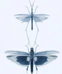 Mind The Gap Entomology Green Wallpaper 10 Mind The Gap Entomology Green Wallpaper