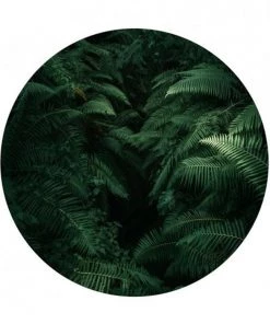 BN Wallpaper Circles Dark Fern Wallpaper & Paint