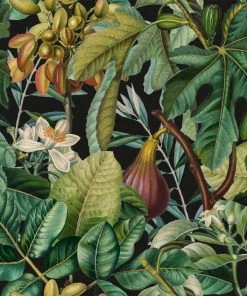 Mind The Gap Wallpaper & Paint Figs And Dates Wallpaper