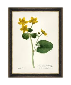 Mind The Gap MTG FRAMED ART AQUAFLORA - Watercolour Prints