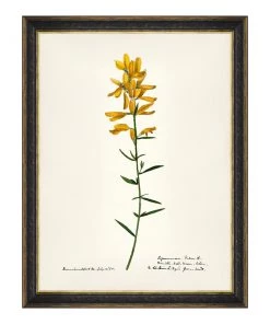 Mind The Gap MTG FRAMED ART AQUAFLORA - Watercolour Prints