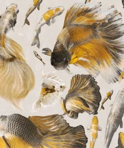 Mind The Gap Goldfish Anthracite Wallpaper Blue Skies Ahead