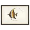 Mind The Gap Havana Tropicana Kihikihi Fish Wall Art