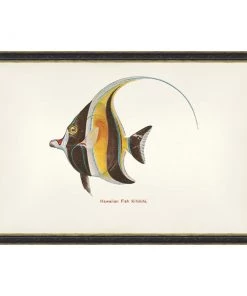 Mind The Gap Havana Tropicana Kihikihi Fish Wall Art