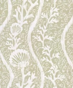 Mind The Gap Koralion Seagrass Wallpaper Blue Skies Ahead