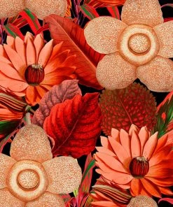 Mind The Gap Water Lilies Wallpaper