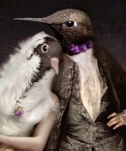 Ibride Lovebirds Le Boudoir Oval Wall Trays Les Jardins Royaux