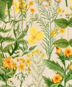 Mind The Gap Mimulus Wallpaper Wallpaper & Paint