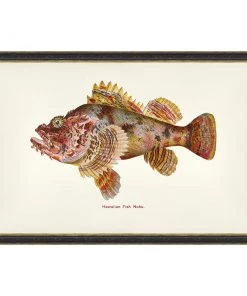 Mind The Gap Havana Tropicana Nohu Fish Wall Art