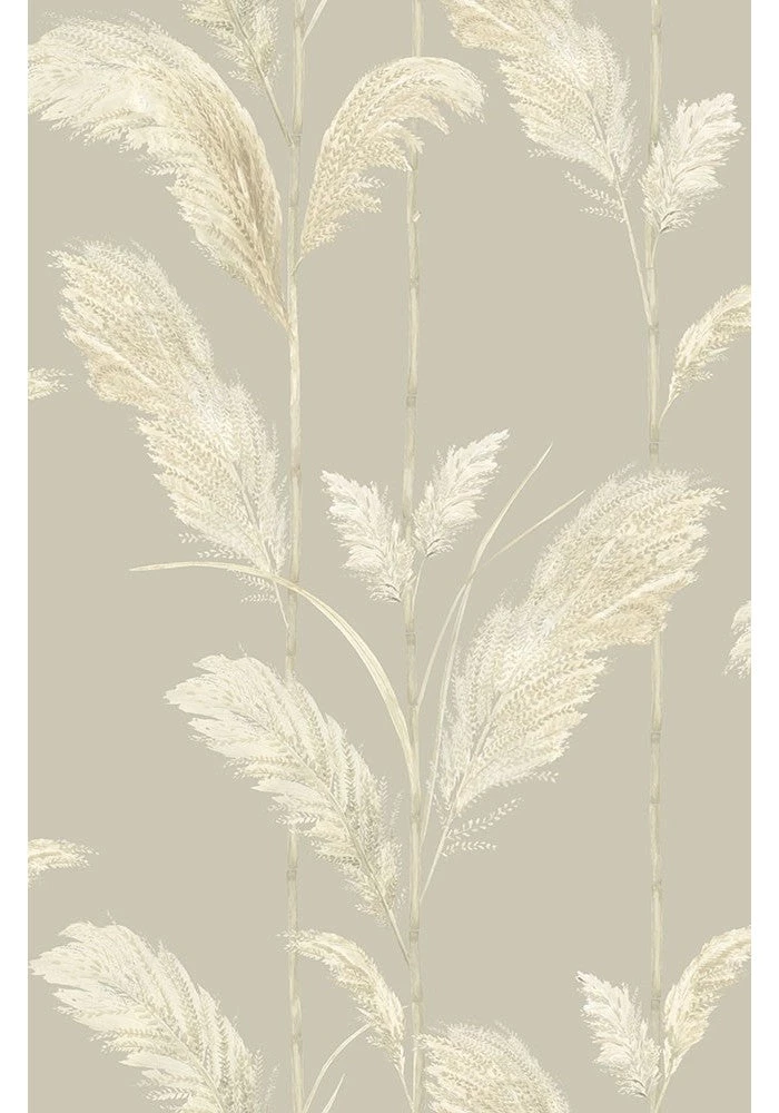 Brand Mckenzie Pampas Grass Wallpaper, Oatmeal 5 Brand Mckenzie Pampas Grass Wallpaper, Oatmeal
